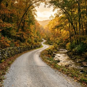 Winding country road through autumn forest