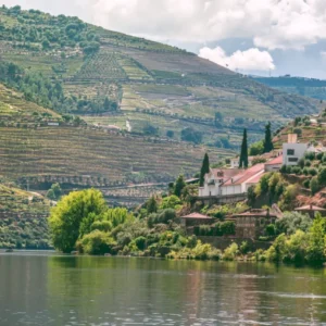 Riverside terraced vineyards and hillside village